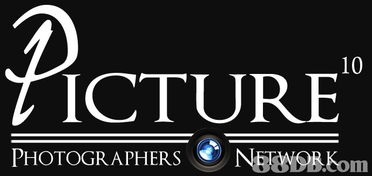 探索Luxury Network International Ltd.E1的多元化攝影服務