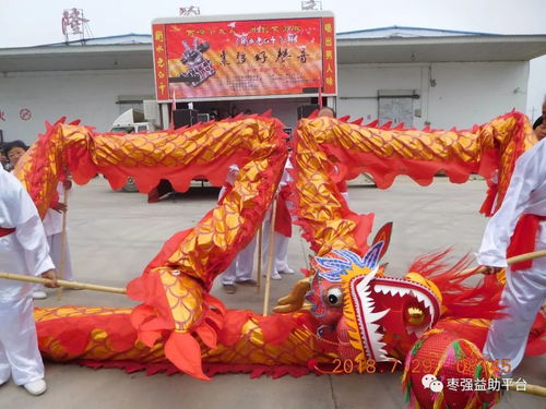 舞動古今，傳承不息——舞龍舞獅等非物質文化遺產的實踐與傳播